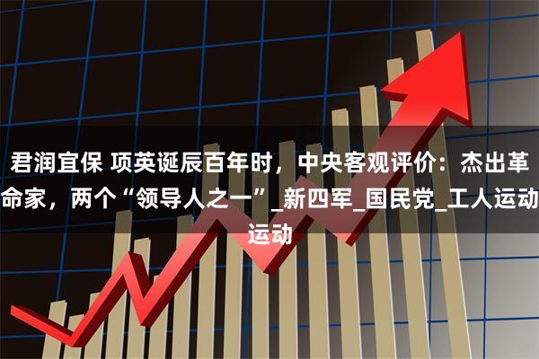 君润宜保 项英诞辰百年时，中央客观评价：杰出革命家，两个“领导人之一”_新四军_国民党_工人运动