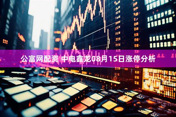 公富网配资 中电鑫龙08月15日涨停分析
