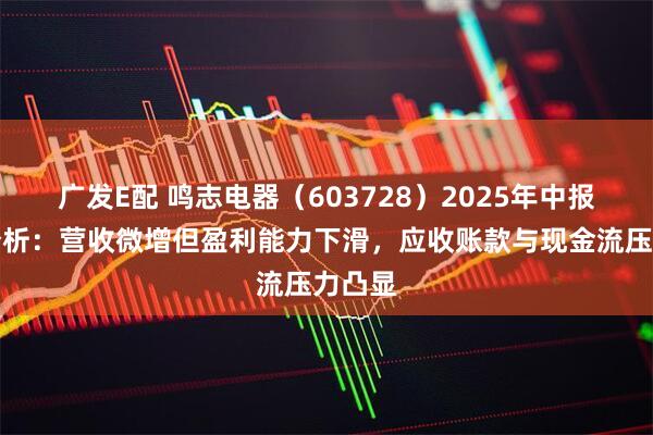 广发E配 鸣志电器（603728）2025年中报财务分析：营收微增但盈利能力下滑，应收账款与现金流压力凸显
