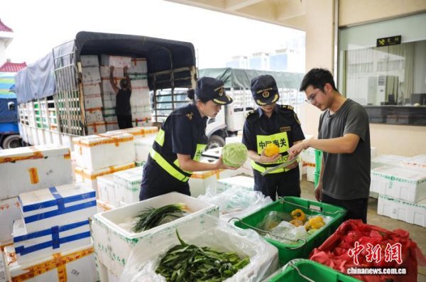 亿操盘 “桦加沙”来袭 海关全力守护澳门居民“菜篮子”