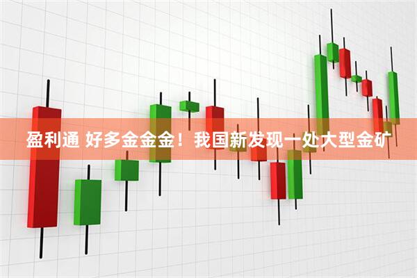 盈利通 好多金金金！我国新发现一处大型金矿